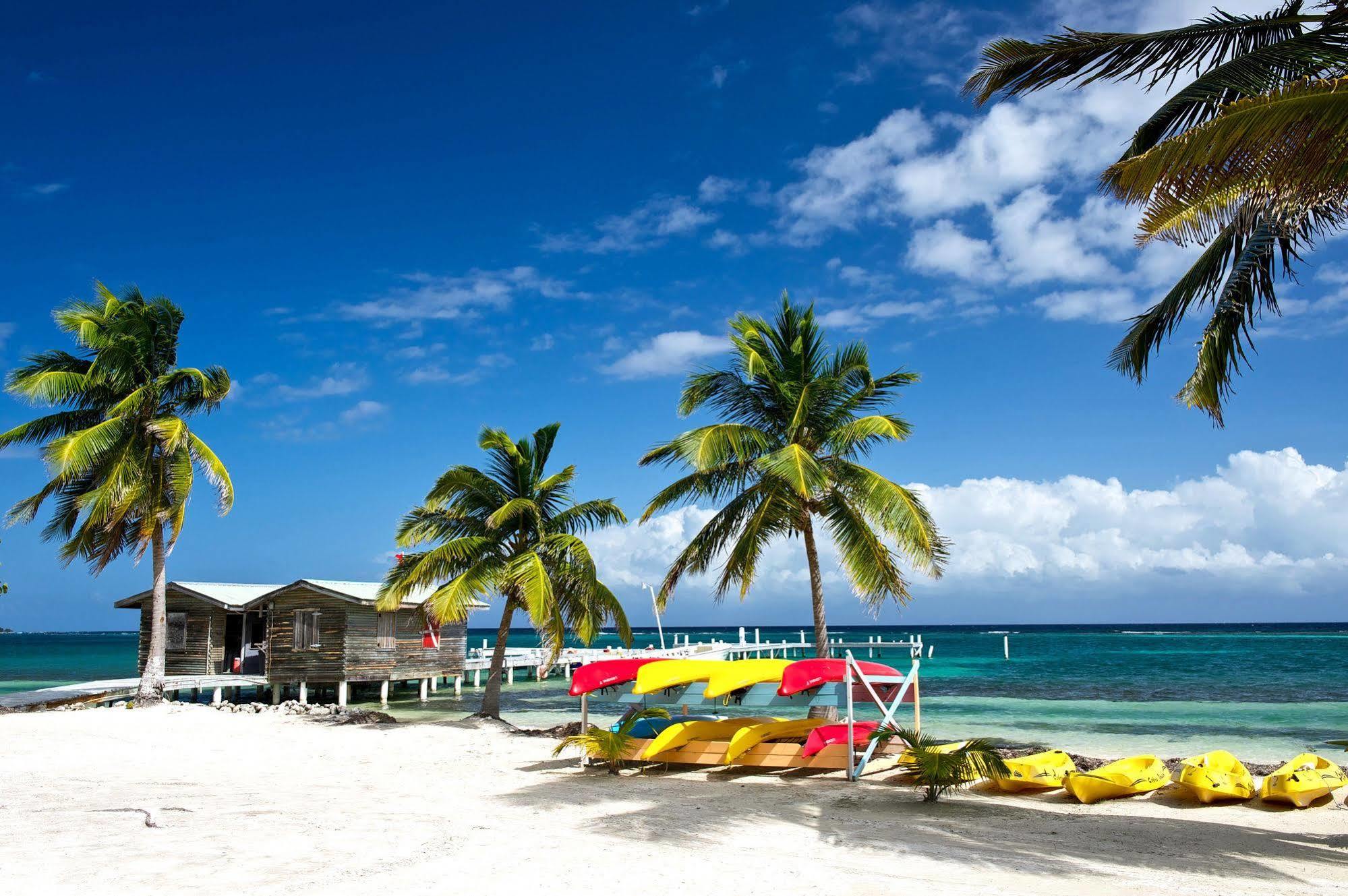 Blackbird Caye Resort Turneffe Atoll Exteriör bild