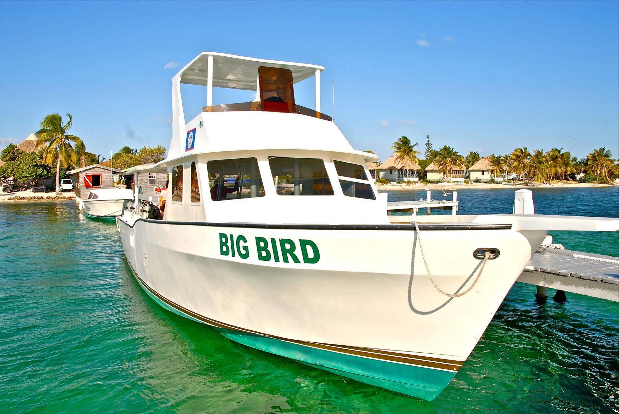 Blackbird Caye Resort Turneffe Atoll Exteriör bild