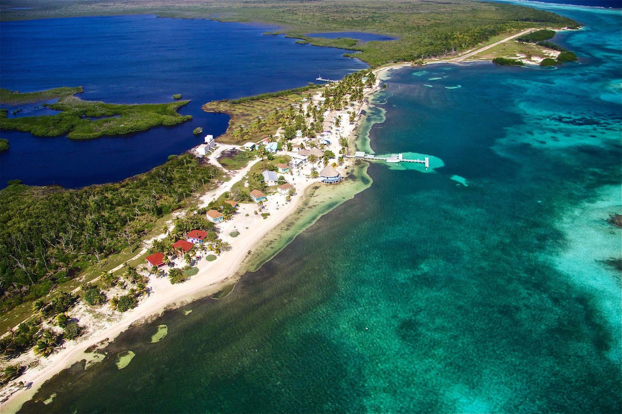 Blackbird Caye Resort Turneffe Atoll Exteriör bild