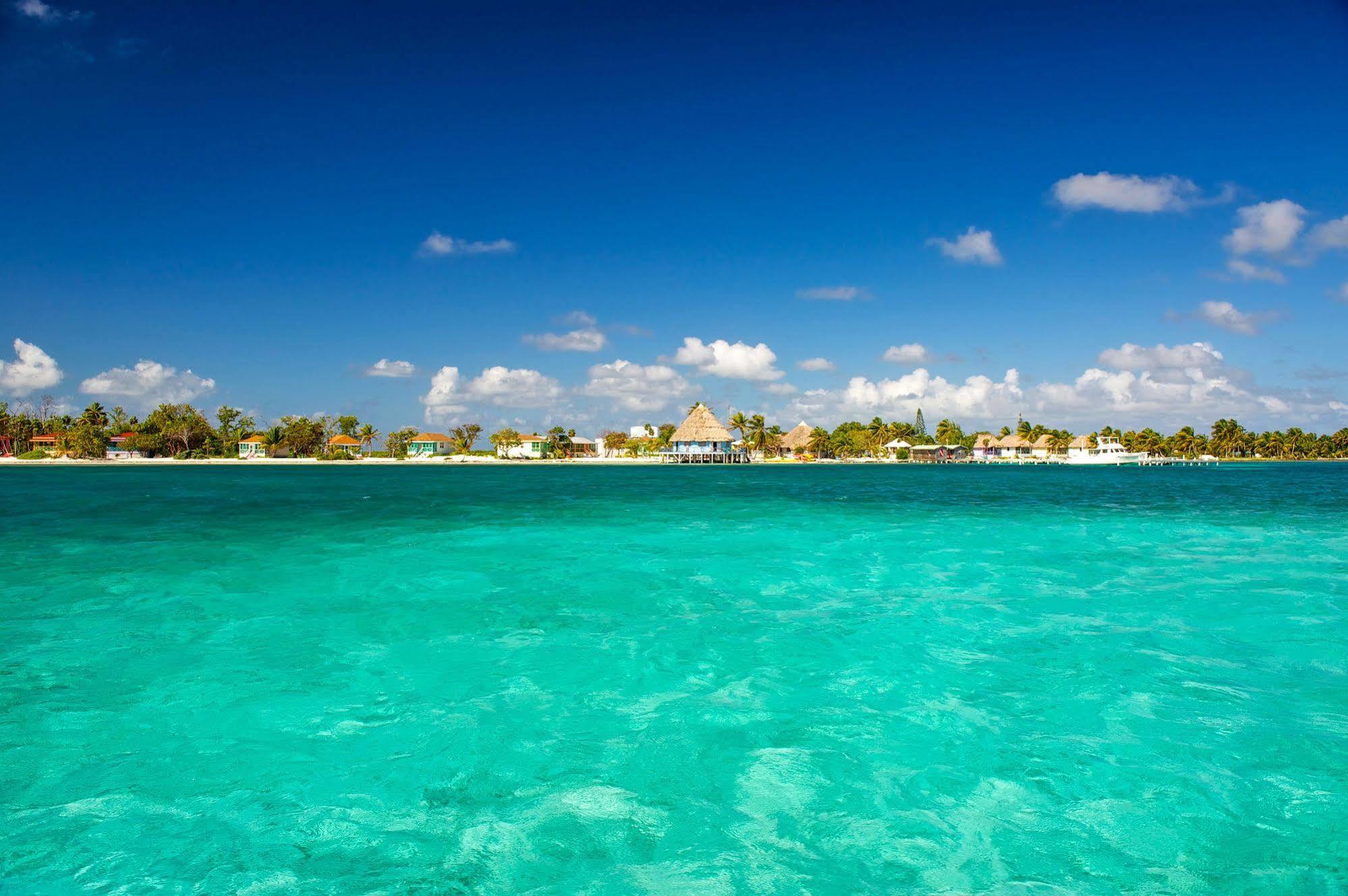 Blackbird Caye Resort Turneffe Atoll Exteriör bild