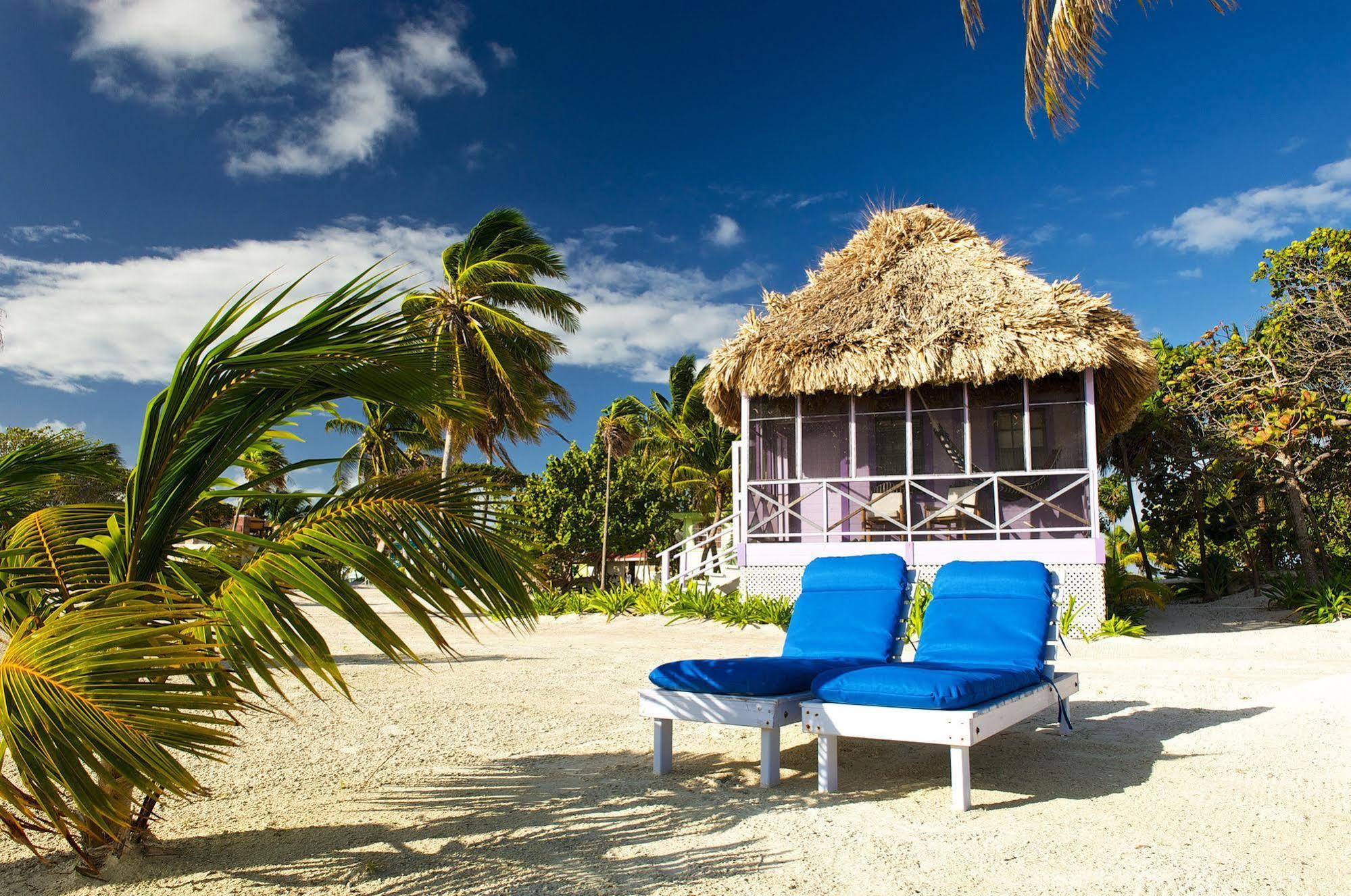 Blackbird Caye Resort Turneffe Atoll Exteriör bild
